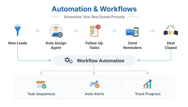 Automation & Workflows