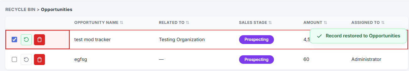 Restore Deleted Records
